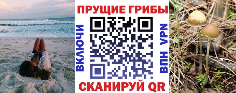 Галлюциногенные грибы мицелий  Купить закладки  Каспийск 